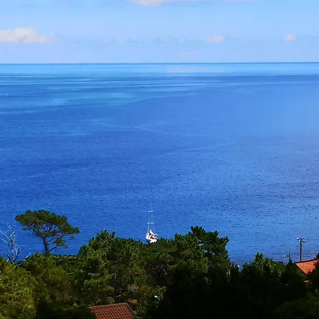 Adega Baia Azul - The Essence Of Pico