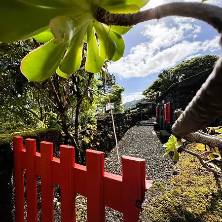 Adega Baia Azul - The Essence Of Pico *