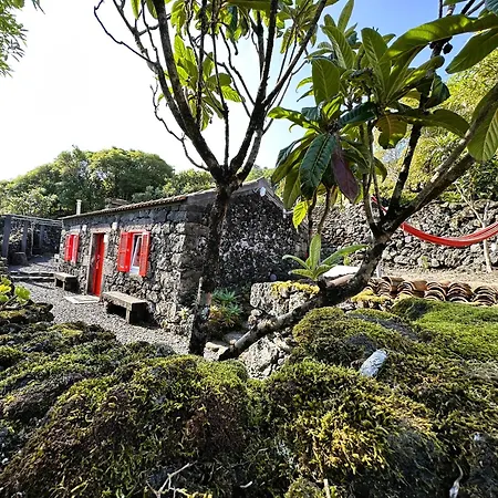 Adega Baia Azul - The Essence Of Pico 샬레 *