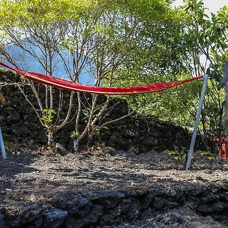 Adega Baia Azul - The Essence Of Pico Шале