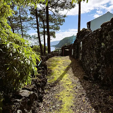 Chalet Adega Baia Azul - The Essence Of Pico *