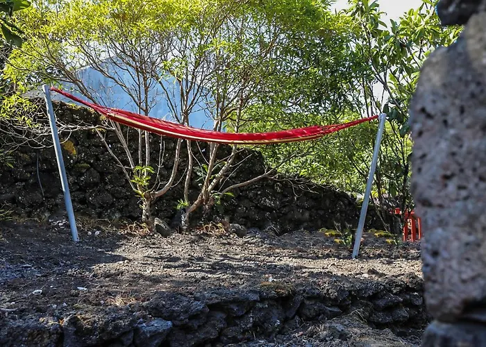 Adega Baia Azul - The Essence Of Pico Chalet