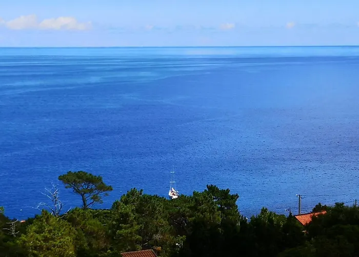 Adega Baia Azul - The Essence Of Pico