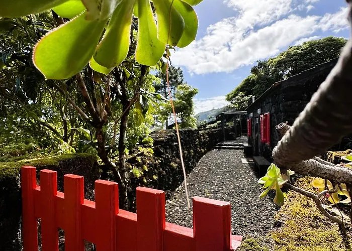 Adega Baia Azul - The Essence Of Pico *